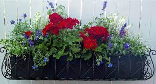 Red white and blue flowers for window boxes. Patriotic Decorations For Your Fourth Of July Celebration The Window Seat