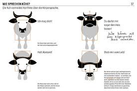 Die Kuh Vermeidet Konflikte Uber Die Korpersprache Tiere Fleisch Kuh