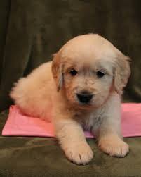 Emily Wilkerson Lake Ray Roberts May 21, 2020✨