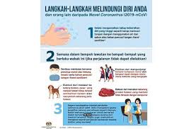 Usap dan gosok juga kedua punggung tangan secara bergantian. Barking Up The Wrong Tree The Star