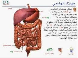 موسوعة شبكة العلوم الجهاز الهضمي teaching projects projects to try