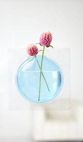 お花が宙に浮かぶ 壁に貼って楽しむ花瓶 kaki haconiwa 花を生ける フラワーベース 花瓶