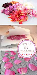 Maybe you would like to learn more about one of these? 31 Diy Ideas With Rose Petals Dried Rose Petals Rose Petals Dried Flowers
