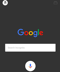 Search Privately On Your Iphone With Google App S New Incognito Mode Google Chrome Google Apps Ios App