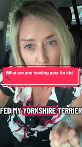 The Greens Yorkshire Vet