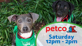 DOG Adoption Event at Petco in Bailey's Crossroads