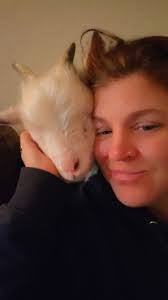 So I have a concern that I'm hoping more experienced goat owners can help  me with. I have a orphaned bottle baby that I have that was given to me.  The previous