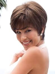 Amazon.com : Megan Wig Color Sandy Silver