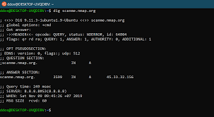 Using The Dig Command To Query Dns Records In Linux Infotech News