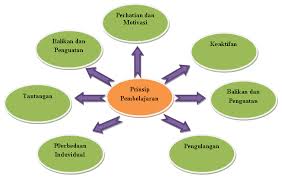 Kedua lingkup pengajaran ips ini harus diajarkan. Prinsip Prinsip Dasar Pembelajaran Ips Di Sd Mi Kumpulan Referensi