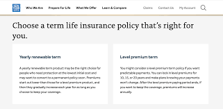 Launch of new term life products by New York Life