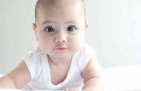 New Public Safety Programs Land Use 101