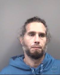 Name: Brian Todd Furr Age/Gender/Race: 43/Male/White Arrest Date: 9/10/2024  Arrest Location: 8300-BLK Bringle Ferry Rd, Salisbury, NC Charges: 1.  Larceny (Felony) 2. Obtaining Property By False Pretenses (Felony)