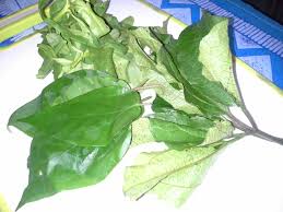 Water for vegetable soup if you use all. Edikaikong Soup My Version
