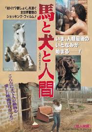 Yahoo!オークション - 成人(ポルノ)映画チラシ獣姦映画「馬と犬と人間...