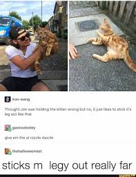 You Just Have To Say That You Re Fine Meme Download Tumblr Tumblrpost Cat Funny Meme Ifunny Funny Animals Cats Tumblr Cute Funny Animals