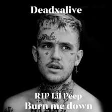 Stream Burn me down~In memory of Lil Peep~ (Prod.HxRXKILLER) by Fr3nzy