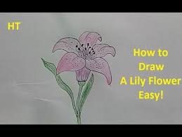 How To Draw A Lily Flower Easy Step By Step For Kids Today We Will Draw Together A Beautiful Flower Lily You Can Look Thro Flower Drawing Lily Flower Drawings