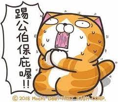 pin by trady chen on 白爛貓 cute gif smelly cat cute