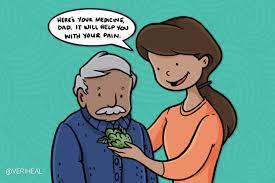 Why Cannabis Caregivers Exist And How They're Regulated