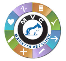 How much do pet shots cost. Pet Dog And Cat Vaccinations Rabies Vaccine Serving Marietta Ga
