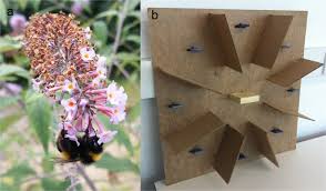 It is designed to how do the ultrasonic device work ? Effect Of Acute Pesticide Exposure On Bee Spatial Working Memory Using An Analogue Of The Radial Arm Maze Scientific Reports
