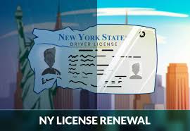 A standard driver's license, an enhanced id and real id. New York Drivers License Renewal Guide Zutobi Drivers Ed