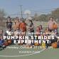 Pumpkin Strides + Experiment event image