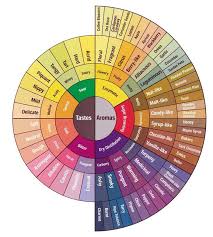 Coffee Flavor Chart Everybody Should Believe In Something