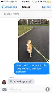 Find ways to remedy the challenges and prove your ability to care for the pet. Kelly Connelly On Twitter When You Are Trying To Convince Your Parents To Get A Dog But They Do Not Get The Point Https T Co Pio4tafp10