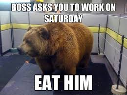 Work On Saturday Memes Funny Quotesbae