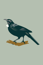 Tui Bird Vector Illustration I Designed This Simple Graphic On Adobe Illustrator It Was For T Boutique Graphic Design Graphic Design Services Graphic Design