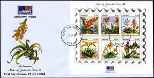 Image result for Aloe inyangensis