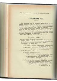 Image result for Ascolepis trigona