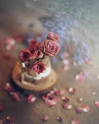 We did not find results for: Ø£Ø´Ø¹Ø§Ø± Ø°ÙƒØ±Ù‰ Ø²ÙˆØ§Ø¬ Ø¬Ù…ÙŠÙ„Ø© Ù„ÙƒÙ„ Ø²ÙˆØ¬ÙŠÙ†