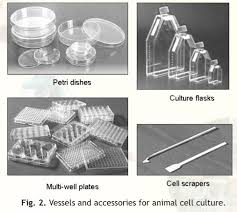 Animal Cell Culture Techniques