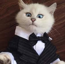 No be principal and SS3 student be this 🤣??