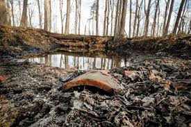 Time for a reality check. Indiana Wetlands Bill Here S What You Need To Know