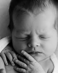 Amanda Downie Creative (@amandadowniecreative) • Instagram photos and videos