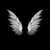 Search free hd wallpapers on zedge and personalize your phone to suit you. 3