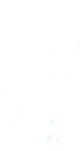 Black And White Background Plain Plain White Wallpaper For Android On Wallpaper 1080p Hd White Background Wallpaper White Wallpaper Plain White Background