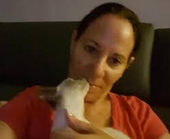 Assassin bug nymph identification in Oklahoma