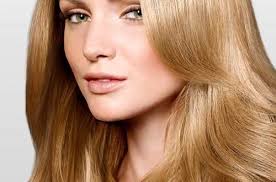 Light Golden Brown Hair Color Chart Sophie Hairstyles 46667