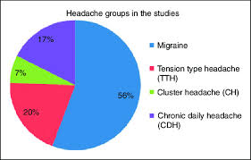 The Pie Chart Shows The Headache Types Included In The 80