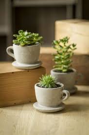 Blumentopfe Aus Beton Selber Machen Von Crea Betongarten Sukkulenten Diy Selbermachen Beton