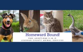 Adoption events are held tuesday if you are not planning on adopting that soon, please wait to apply. Loudoun County Va Official Website