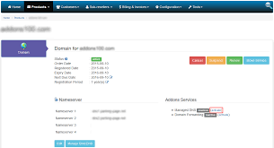 Addons Managed Dns Panduan Srs X