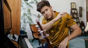 Niall Horan Concert Scotiabank Arena Toronto May 2020 News