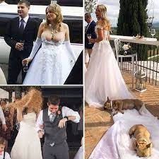 We're guessing this was his last time. 40 Tragic Wedding Mistakes That Basically Ruined The Whole Day In 2021 Wedding Fail Funny Comic Strips Bride