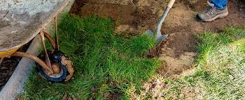 If you are sitting when you first meet somebody you are going to introduce yourself to, then it's always best to stand if you are able. How To Level A Yard In 8 Proven Steps Landscape Grading